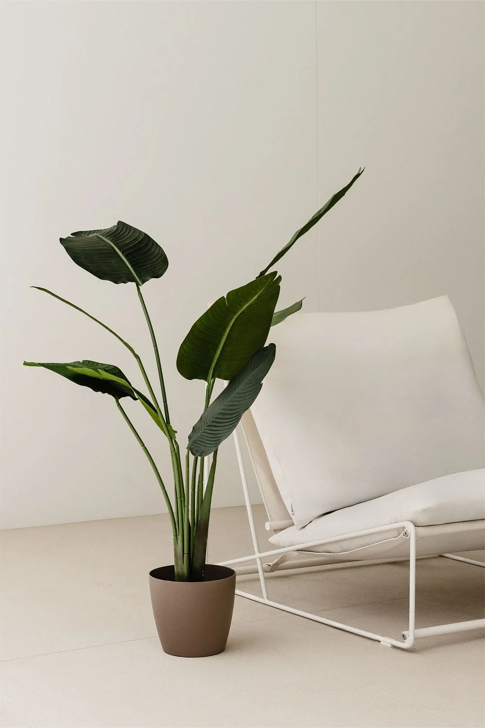 Künstliche dekorative Bananenpflanze 160 cm